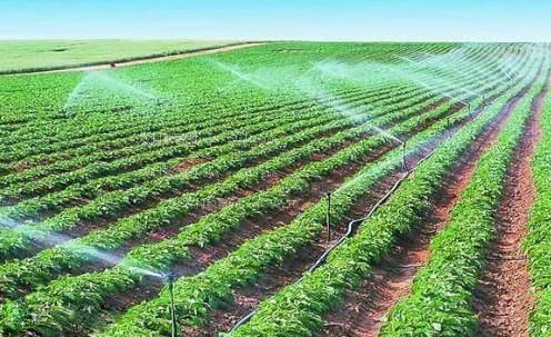 爆操视频农田高 效节水灌溉